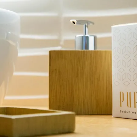 Puro メザーニェ