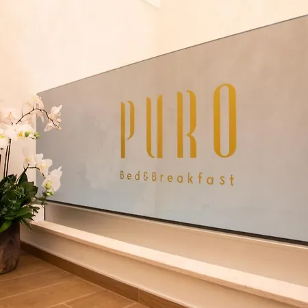 Puro 4*